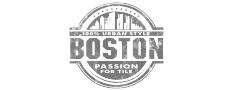 Logo serie Boston