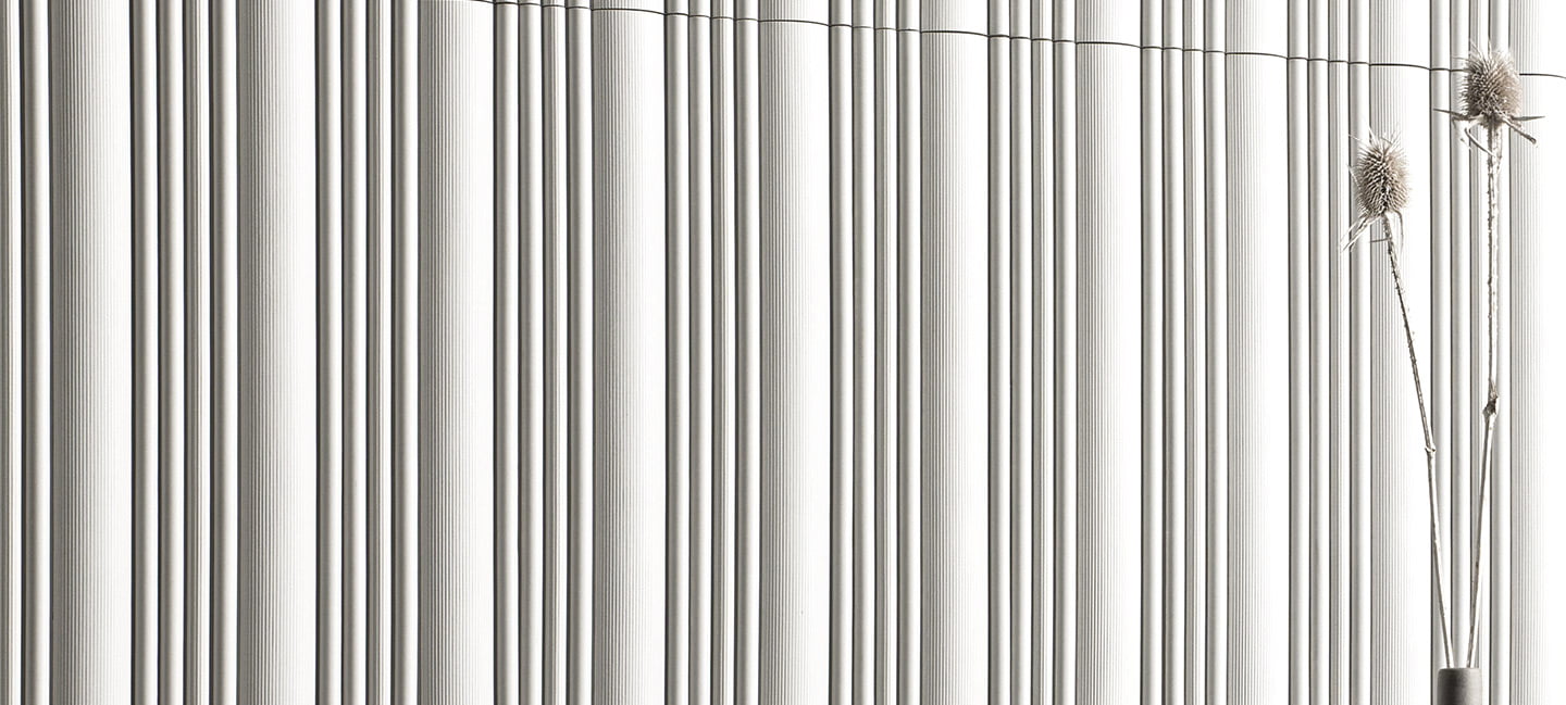 DISCO ASH 10x39 · 4''x15,5''